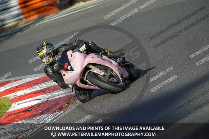 brands hatch photographs;brands no limits trackday;cadwell trackday photographs;enduro digital images;event digital images;eventdigitalimages;no limits trackdays;peter wileman photography;racing digital images;trackday digital images;trackday photos